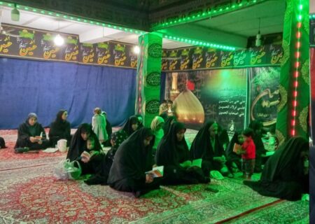 مراسم عزاداری بیست و هشتم صفر در جزیره بوموسی برگزار شد